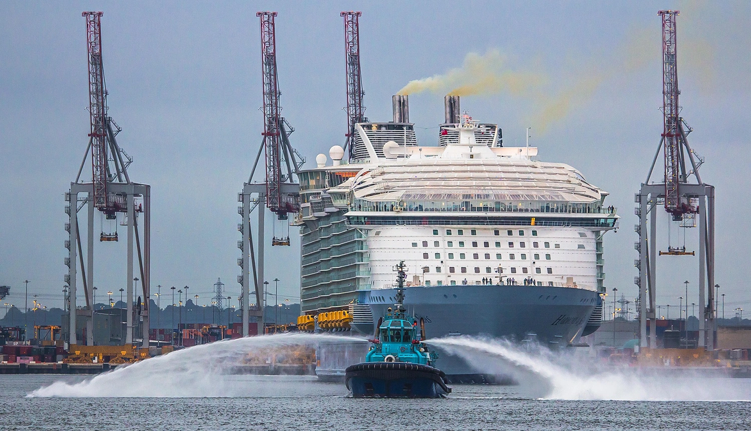 risteilyala kukoistaa usassa